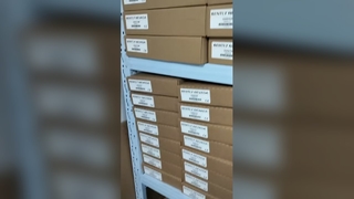 Bely Nevada 3500-22m