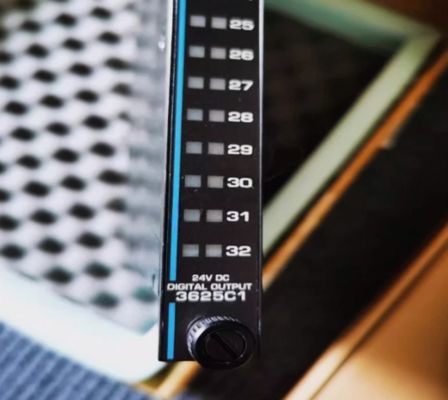 3625C1 Moduł cyfrowego wyjścia nadzorowanego przez Triconex