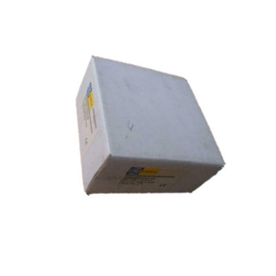 IC200ALG264 Ge Fanuc Versamax Micro Controller 15-bitowy prąd 15-kanałowy